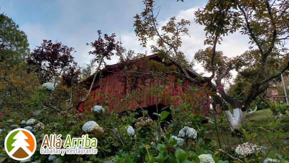 [Image: ¡Paga $55 en Lugar de $105 por 1 Noche en Cabaña para 2 Adultos y 2 Niños o para 3 Adultos + Desayunos + 30 Minutos de Juegos de Mesa + Caminata en Bosque + Visita al Vivero de Hortalizas + Entretenimiento y Más!m]