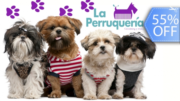 [Image: ¡Paga Q59 en vez de Q130 por Grooming Completo para Mascota que Incluye: Baño + Corte + Cepillado + Secado + Corte de Pelo + Corte de Uñas + Limpieza de Glándulas y Oídos + Moño o Pañuelo + Galleta en La Perruquería!m]