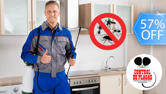 [Image: ¡Paga Q279 en lugar de Q650 por Fumigación de Plagas Hasta 10 Ambientes + Tratamiento para Jardín + Tratamiento para Alcantarillas y Drenajes con Fumigación Total!m]