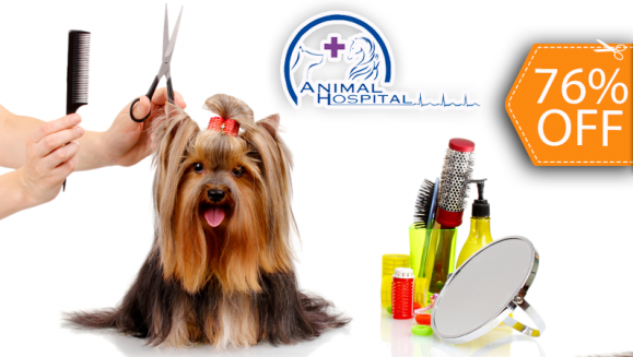 [Image: ¡Paga $15 en lugar de $62 por 3 Paquetes de Grooming para tu Mascota que Incluyen: 3 Baños + 3 Secados + 3 Cortes de Uñas + 3 Limpiezas de Oídos + 3 Peinados + 1 Desparasitante y Más en Animal Hospital!m]