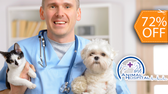 [Image: ¡Paga $76 en lugar de $273.76 por 1 Cirugía de Castración + Electrocardiograma + 1 Hemograma + Glucosa + Perfil Renal + Perfil Hepático + 3 Días de Internación en Animal Hospital!m]