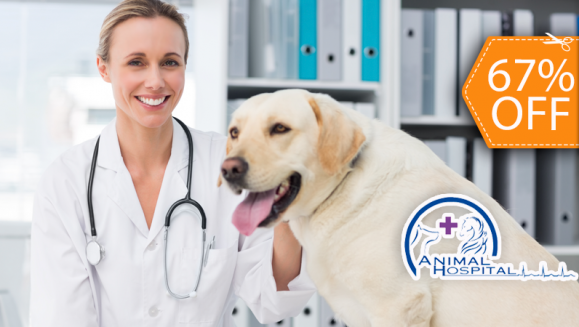 [Image: ¡Paga $125 en lugar de $383.75 por Cirugía de Esterilización + Evaluación Pre-cirugía + Electrocardiograma + Exámenes de Laboratorio Pre-quirúrgicos + 3 Días de Internación + Consulta Pos-quirúrgica en Animal Hospital!m]