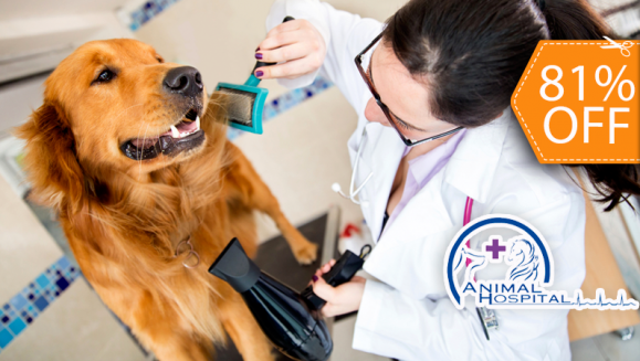 [Image: ¡Paga $10 en lugar de $52 por 2 Paquetes de Grooming para tu Mascota que Incluye: 2 Baños + 2 Secados + 2 Cortes de Uñas + 2 Limpiezas de Oídos + 2 Peinados + 1 Desparasitante en Animal Hospital!m]