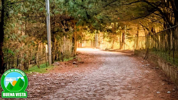 [Image: ¡Conéctate con la Naturaleza en Miramundo, Chalatenango! ¡Paga $42 en Lugar de $80 por Estadía de 1 Noche para 4 Personas + Almuerzos: 4 Hamburguesas con Papas Fritas y 4 Bebidas!m]