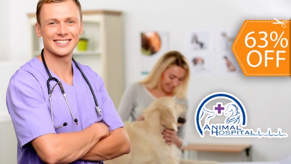 [Image: ¡Vete tranquilo a tus Vacaciones! ¡Paga $12 en lugar de $32 por 2 Días de Hospedaje para tu Mascota en Animal Hospital!m]