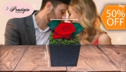 [Imagen:¡Paga $10 en Lugar de $20 por Delicada Rosa Preservada en Caja de Madera!]