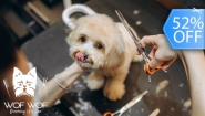 [Image: ¡Paga Q89 en Lugar de Q185 por Grooming Completo para Tu Mascota: Corte de Pelo + Baño + Cepillado de Dientes + Secado + Humectación de Huellitas y Nariz + Corte de Uñas + Moño o Piedritas Decorativas + Pipeta antipulgas o Desparasitante y Más!m]