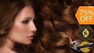 [Image: ¡Paga $20 en Vez de $80 por Tinte Completo, Retoque o Mechas a Elección entre Balayage o Babylights + Sellador de Color + Tratamiento Hidratante y Reparador Alfaparf + Lavado Nutritivo + Split Ender Pro, Corte de Puntas o Estilo + Planchado + Secado!m]