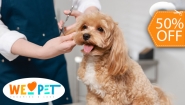 [Image: ¡Paga $12.50 en Lugar de $25 Por Grooming para Mascota: Baño a Elección + Secado + Corte y Cepillado de Pelo + Corte y Limado de Uñas + Limpieza de Oídos + Limpieza de Glándulas Anales + Revisión Física + 15% de Descuento en Vacunación y Más!m]
